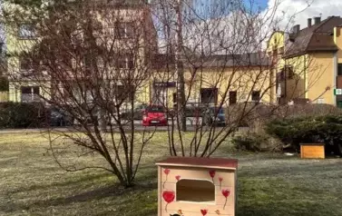 Koty wolno żyjące w gminie Wieluń z nowym lokum