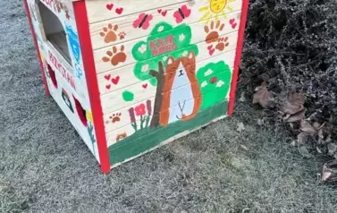 Koty wolno żyjące w gminie Wieluń z nowym lokum