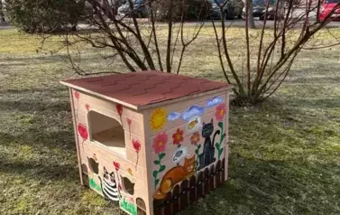 Koty wolno żyjące w gminie Wieluń z nowym lokum