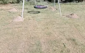 407093625_675649894555446_4308894605485127407_n