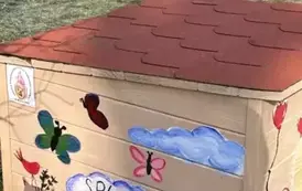 Koty wolno żyjące w gminie Wieluń z nowym lokum