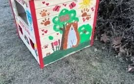 Koty wolno żyjące w gminie Wieluń z nowym lokum