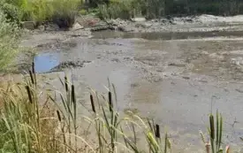 Galeria aktualności Przebudowa otwartego zbiornika retencyjnego w Sołectwie Urbanice 12