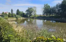 Galeria aktualności Przebudowa otwartego zbiornika retencyjnego w Sołectwie Urbanice 17