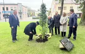 Zdjcie_WhatsApp_2025-10-06_o_144118_9c465169