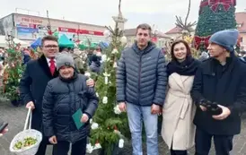 Ubieranie choinek 13