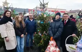 Ubieranie choinek 14