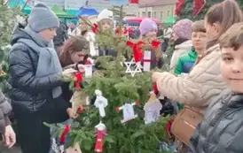 Ubieranie choinek 15